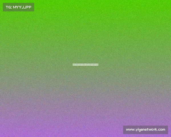 梦幻西游电子竞技选手梦幻西游端游比赛